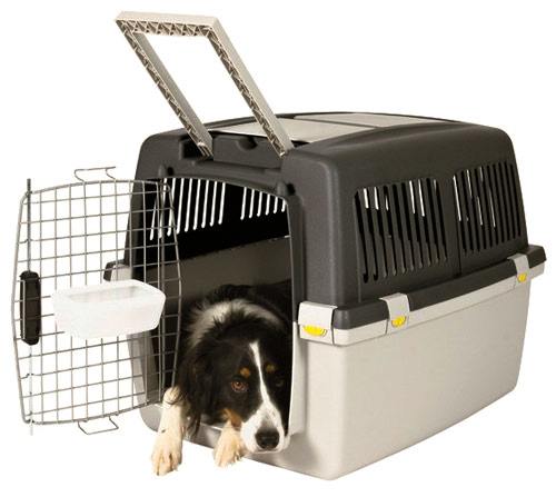 Airline dog travel kennels