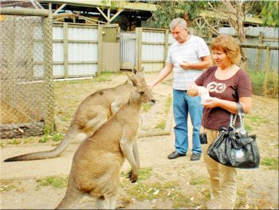 Most popular thing to do in Brisbane