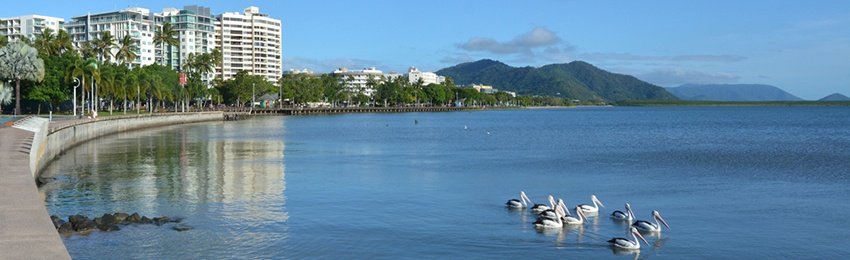 Shipping services to Cairns Shipping services to Cairns