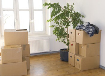 Households shipping to Geelongs