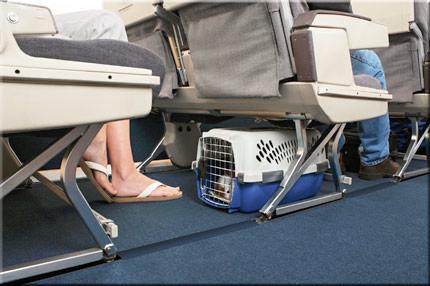 IATA AIRLINE Travel Dog Cages and Cat Kennels for sale online