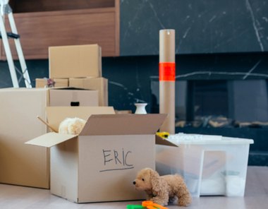 Shipping services to Sunshine Coast