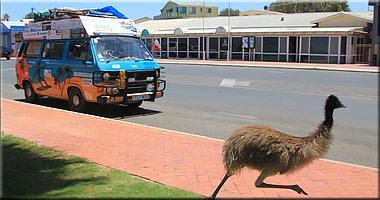 Touring Australia Touring Australia